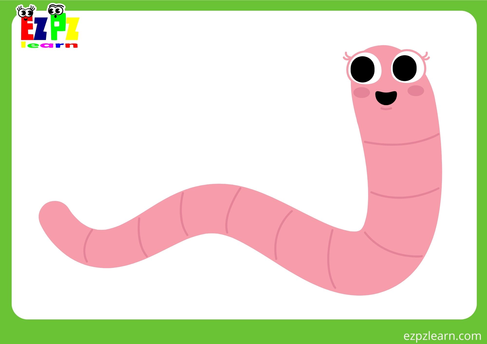 worm